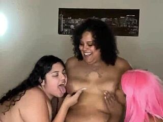 النساء السمينات الجميلات يمارسن الجنس السحاقي في حفلة
